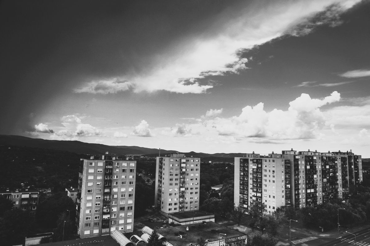 őrült sofőr