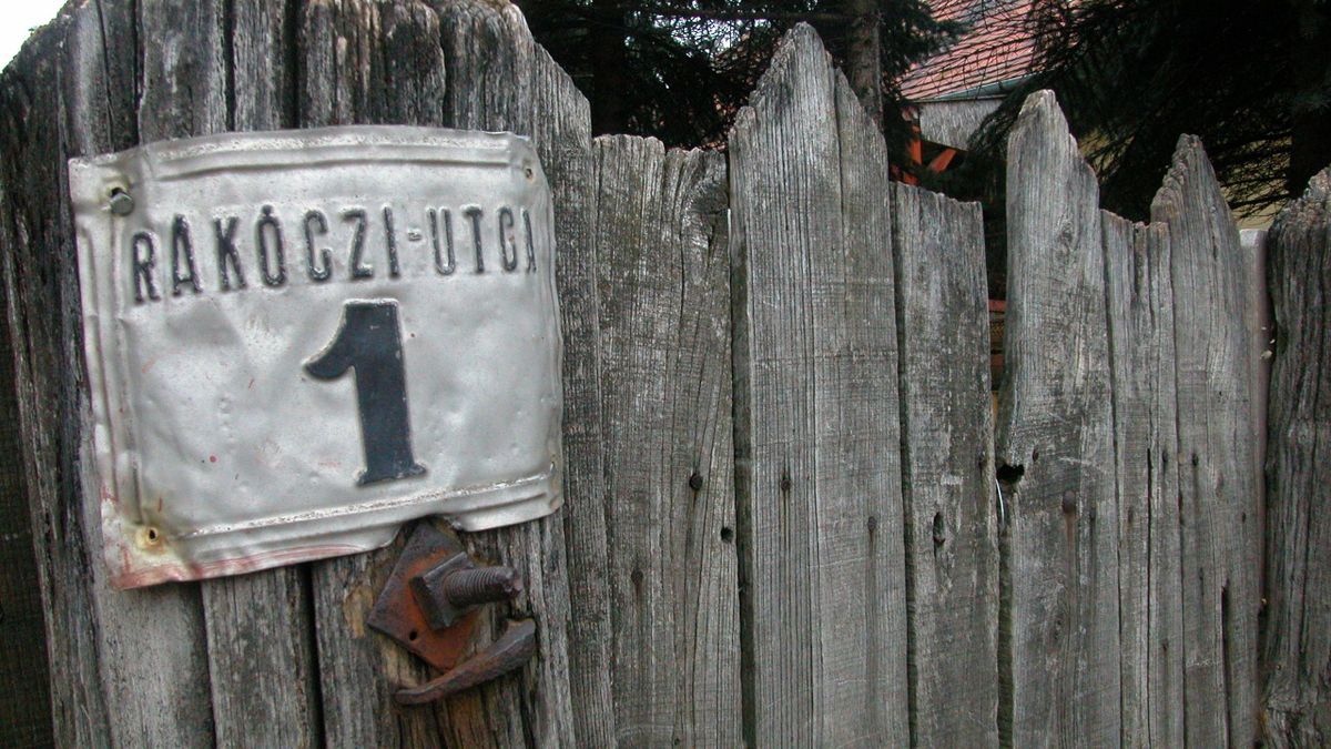 házszám, bírság, utcanév