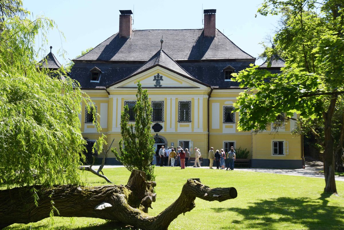 nemesi családok