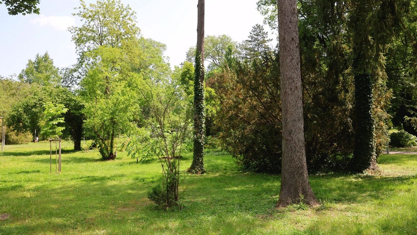 Mezőkövesdi parkban igazoltatták – a nő egy különös műanyag tojást húzott elő a ruhája alól!