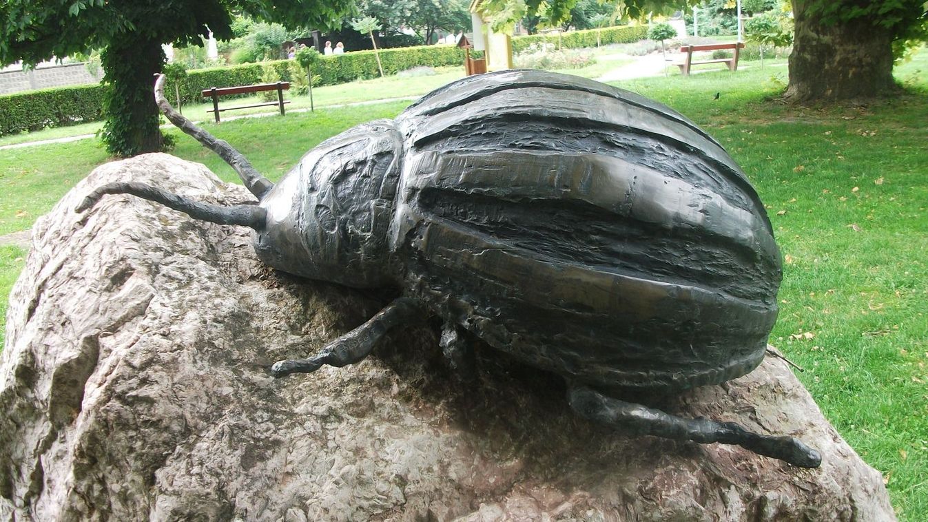 Támad a krumplibogár! Így védekezhetünk ellene!