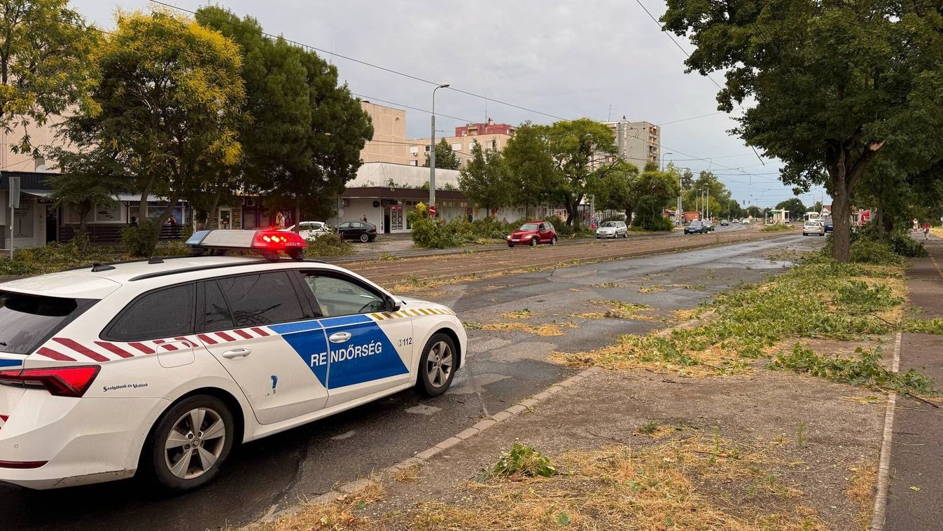 Így csapott le a vihar Miskolcra: kidőlt fák, megbénult villamosközlekedés, és még nincs vége!