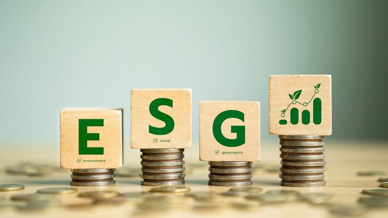 ESG kritériumok: a fenntartható vállalatok működésének alapja
