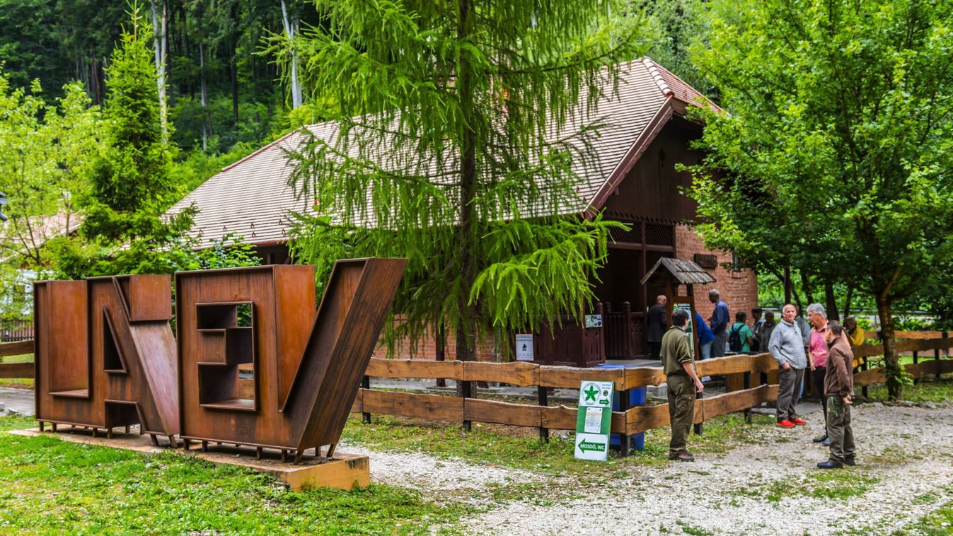 Gombabemutatóval bővült a garadnai Erdészeti Gyűjtemény