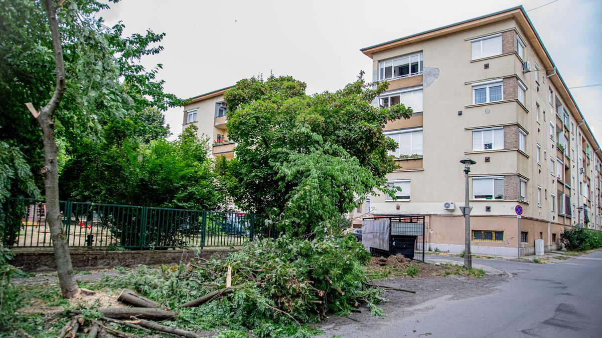 miskolc, közlekedési információk , szerda