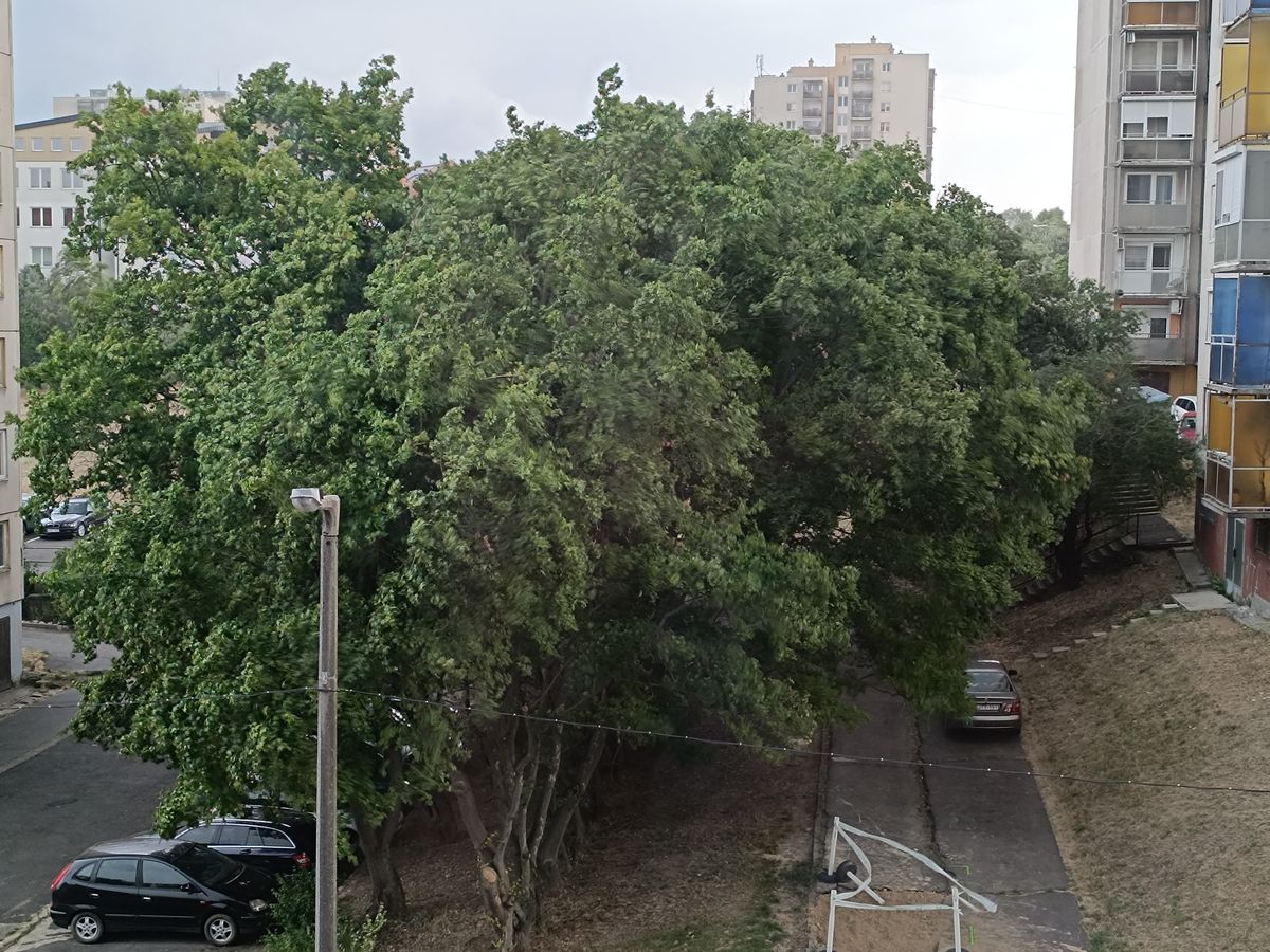 vihar
