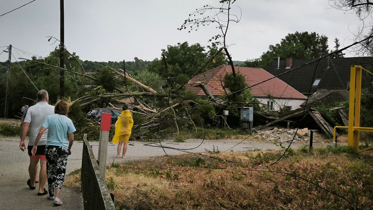vihar, katasztrófavédelem, viharkár