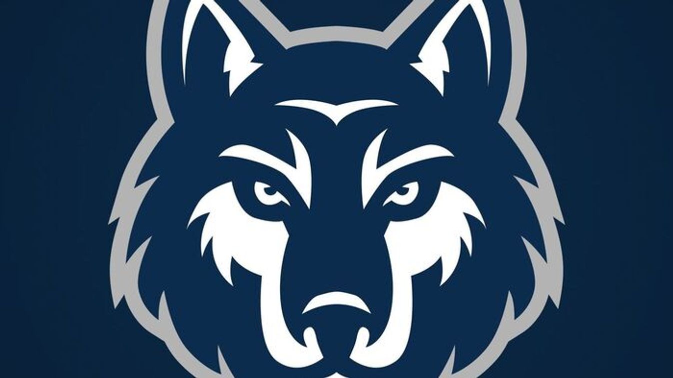 Farkasoktól retteghetnek a nyíregyháziak