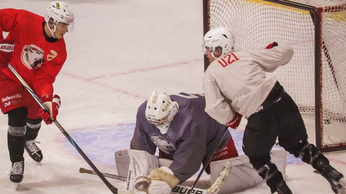 Jégre lépett a miskolci polgármester