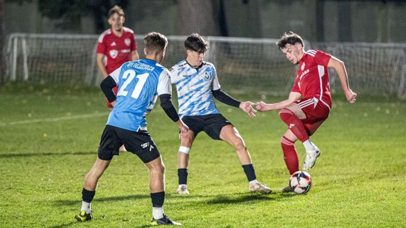 ,,Fogadtunk volna örökbe egy papagájt, mert lassan annyi meccset nyernek vele, hogy fel kell vennem a munkáshitelt, hogy egyensúlyban tudjam tartani a költségvetést" – fotókkal