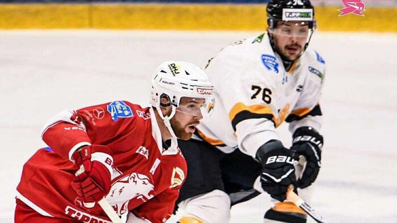 Lenullázok Medvék a jégcsarnokban