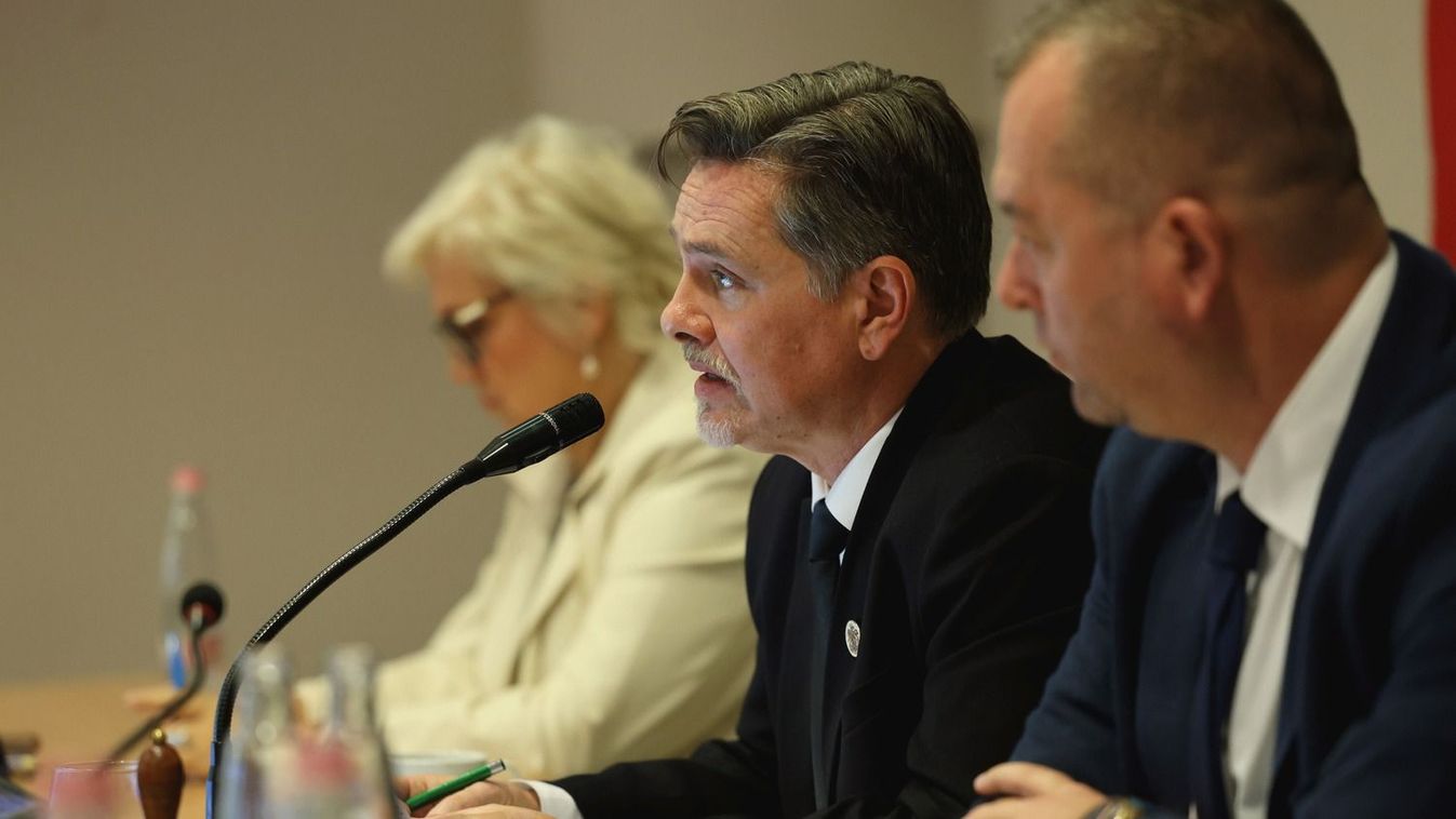 Miskolc új rendelettel védi káprázatos platánjait
