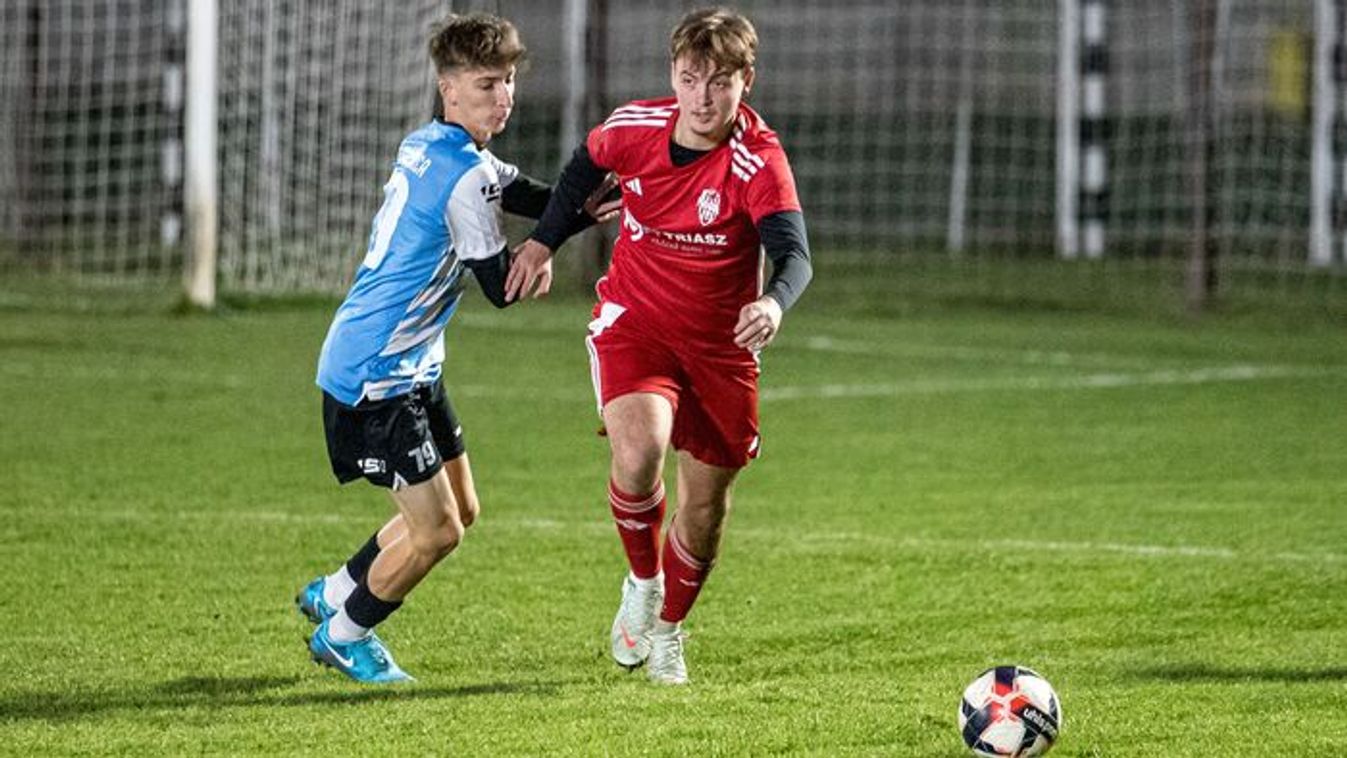 ,,Elnök úrnak üzenem, ez a hónap 4/4, így neki novemberben zsíros kenyér"