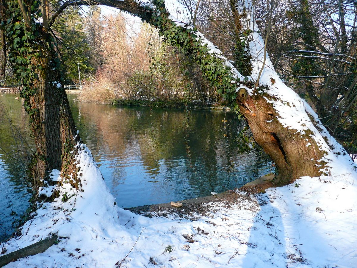 Varázslatos téli programok Miskolcon és környékén: érdemes a téli ...