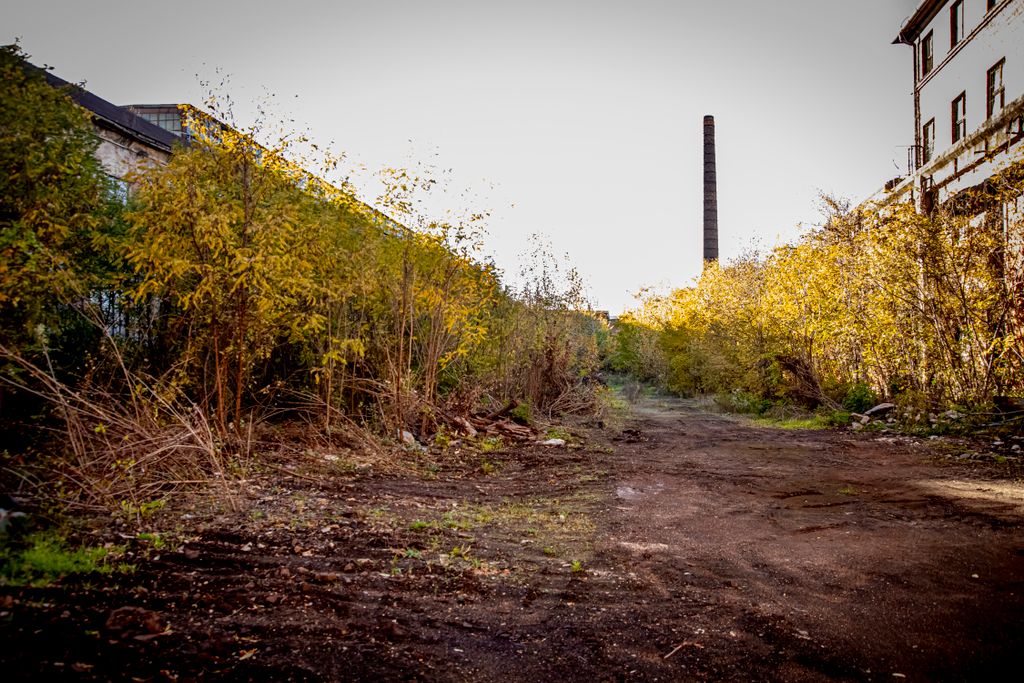 20251029 Miskolc
Az egykori Diósgyőri Acélművek Túterületén jártunk
Fotó: Takács József TJ
Észak-Magyarország
