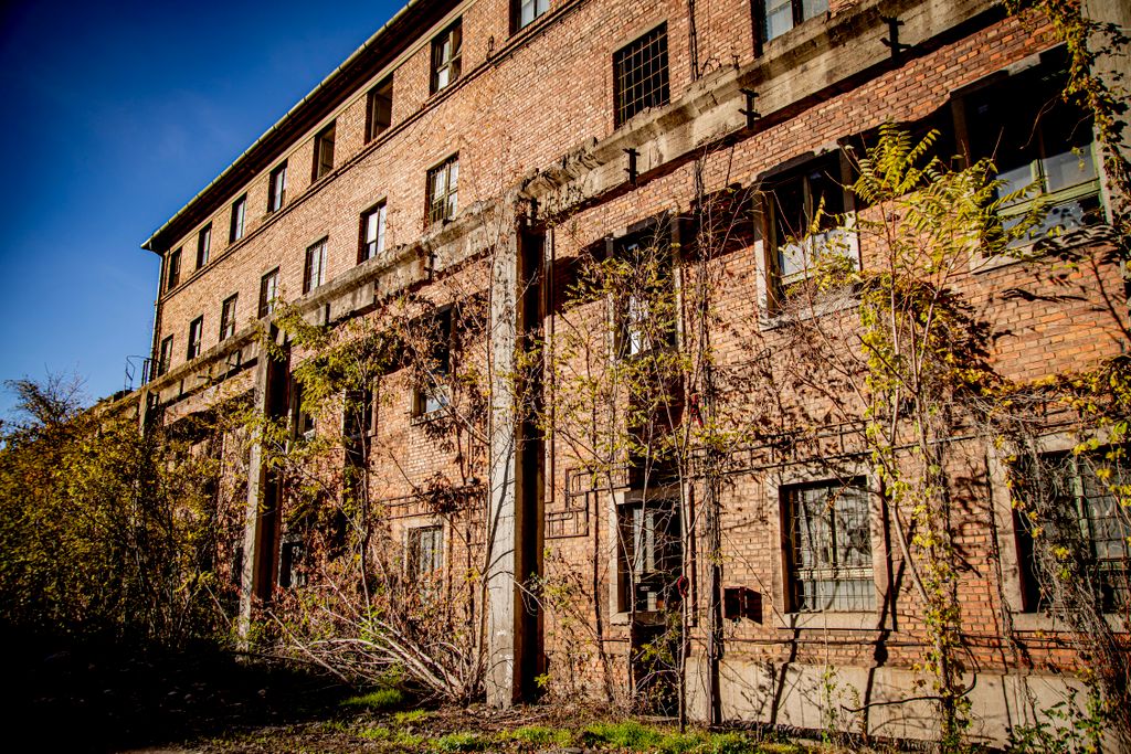 20251029 Miskolc
Az egykori Diósgyőri Acélművek Túterületén jártunk
Fotó: Takács József TJ
Észak-Magyarország