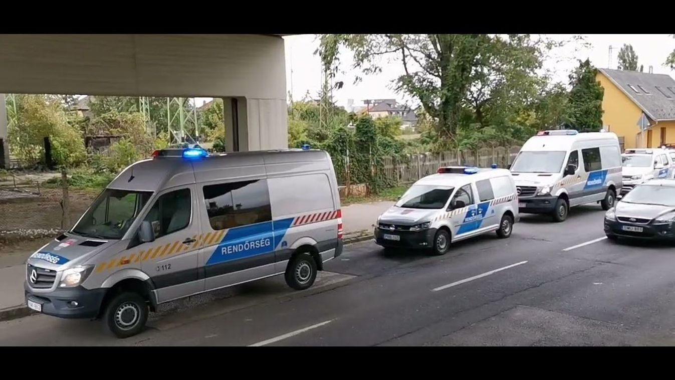 Hét keresőkutyával kutatnak az eltűnt miskolci nő után - frissül