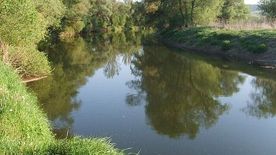 Süllő vagy valami más? Viktor fogása minden horgászt sokkolt!