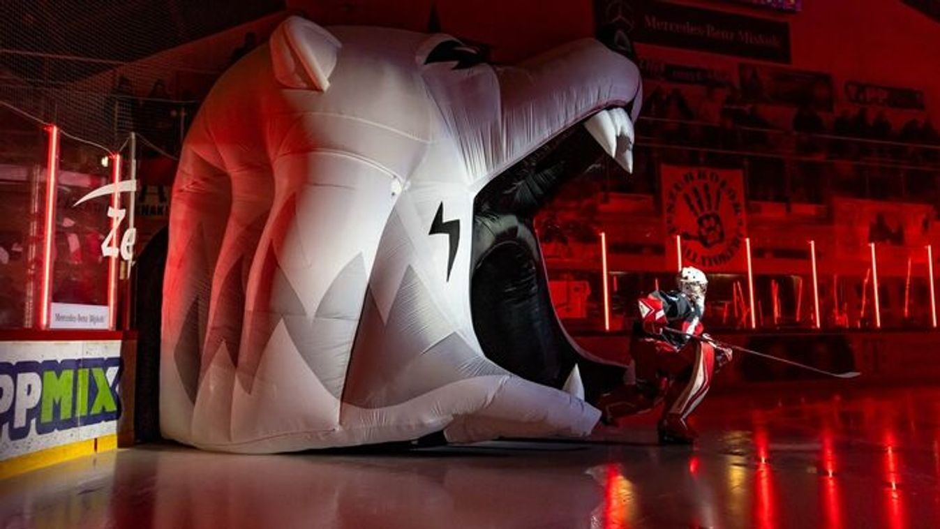 ,,Mindenből tudunk táplálkozni és tovább vinni"