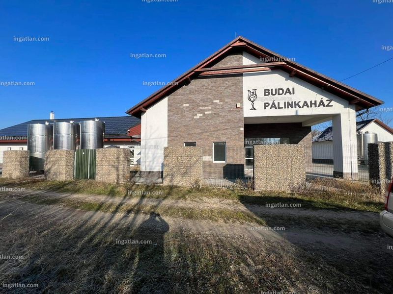 pálinka és csőd Tiszadorogmán