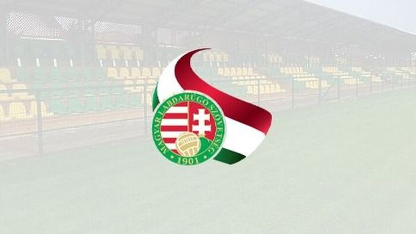 Öt diósgyőri is a legjobbak között