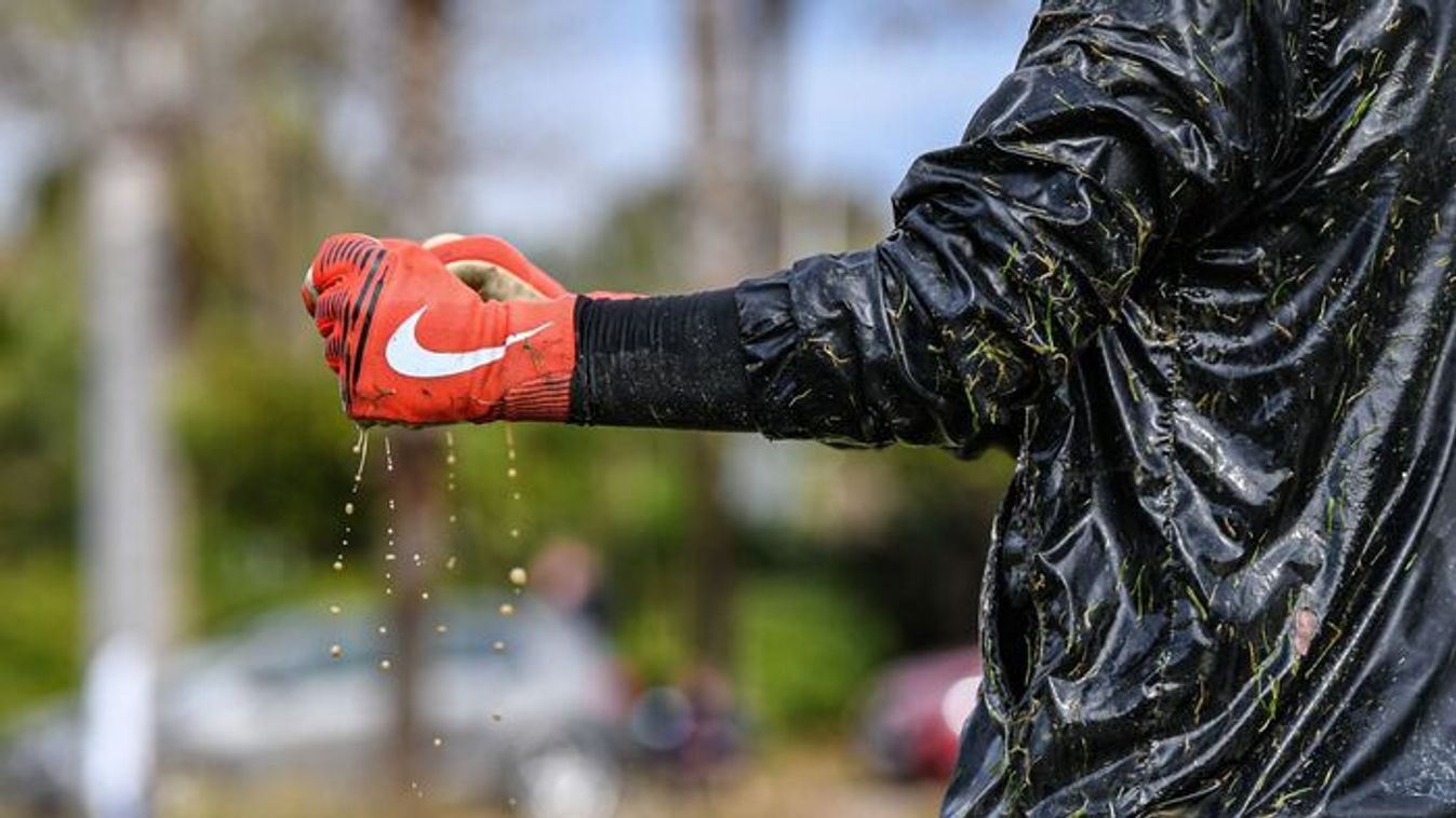 Meghajoltak a sógorok a borsodi tudás előtt
