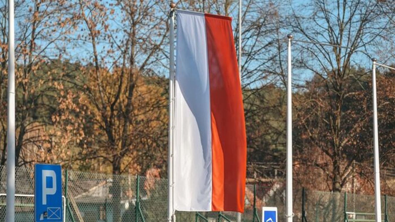 A DVTK kiválósága itt folytatja