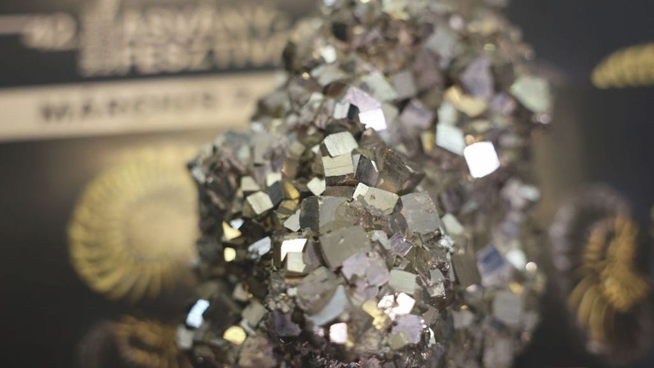 Két nap, száz kiállító és több ezer látogató: jön a 42. Miskolci...