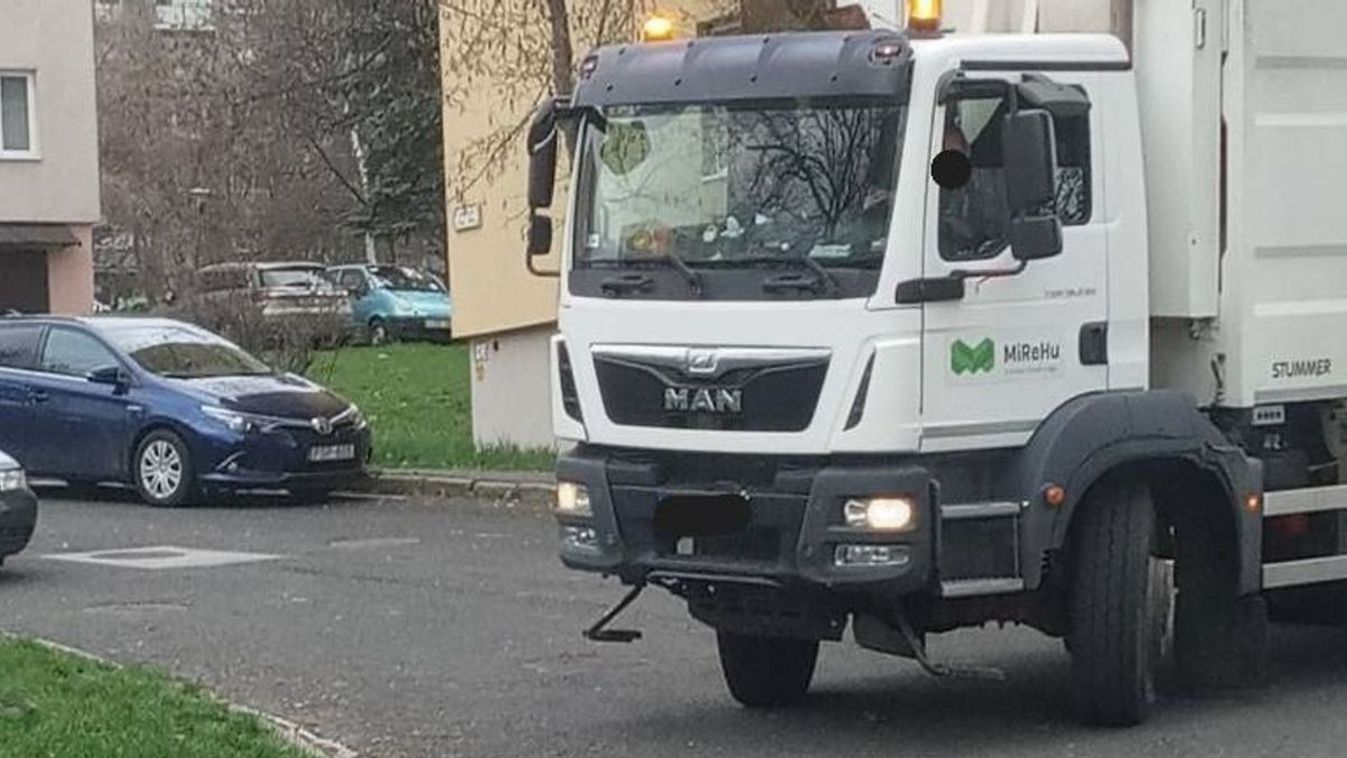 Horror a hulladék között - Élő kiskutyák landoltak a kukában Kép