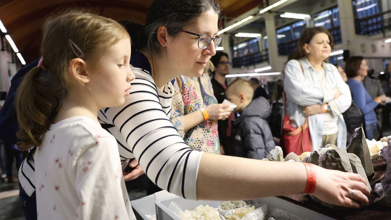 Csillogó kövek, aranymosás és dinoszaurusz: fotókon, videón a 42. Miskolci...