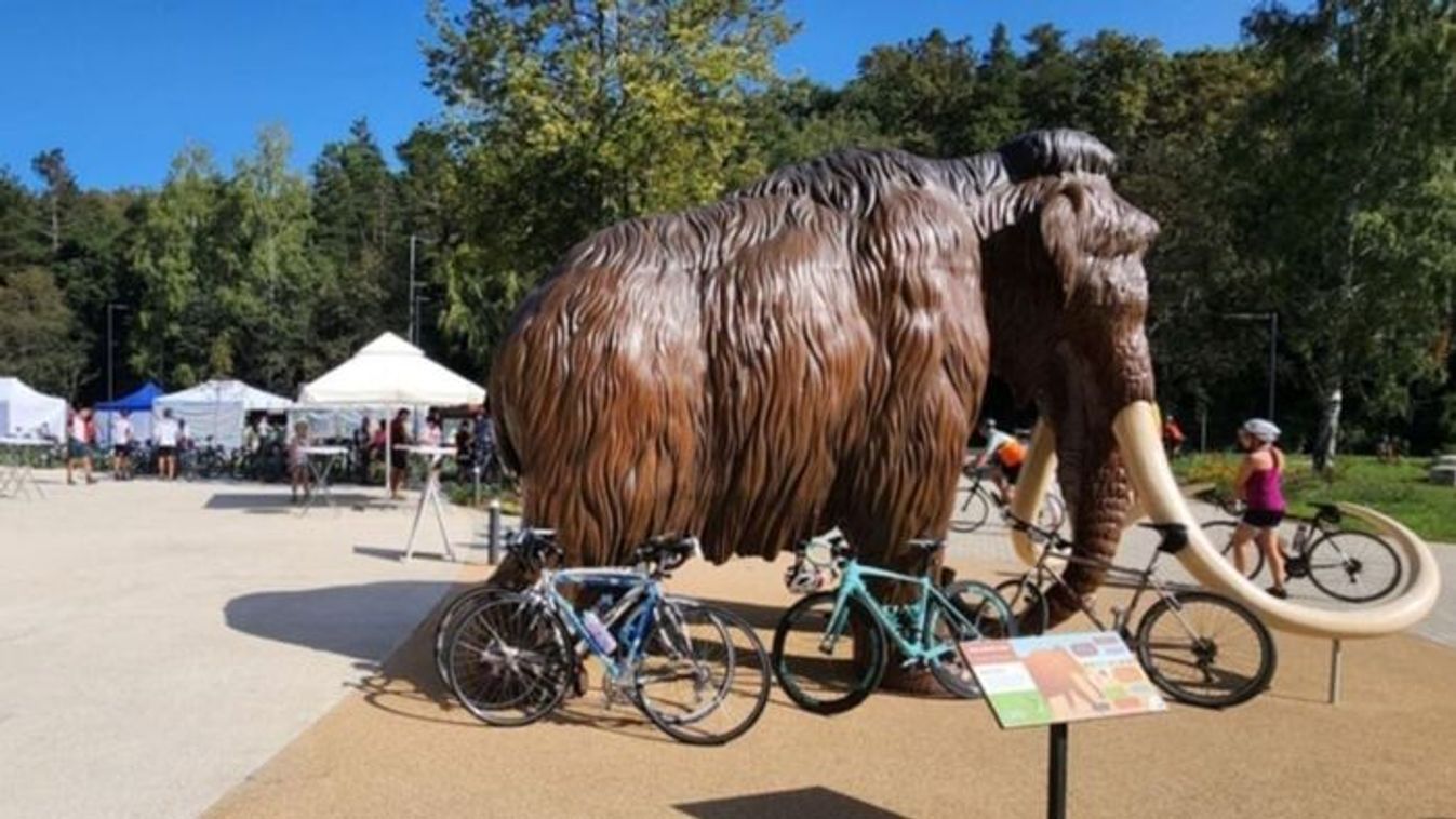 Ő lesz a jubileumi Bükk Kupa fővédnöke