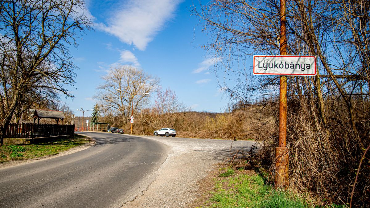 Kutyatámadások miatt tartottak ellenőrzéseket Miskolcon