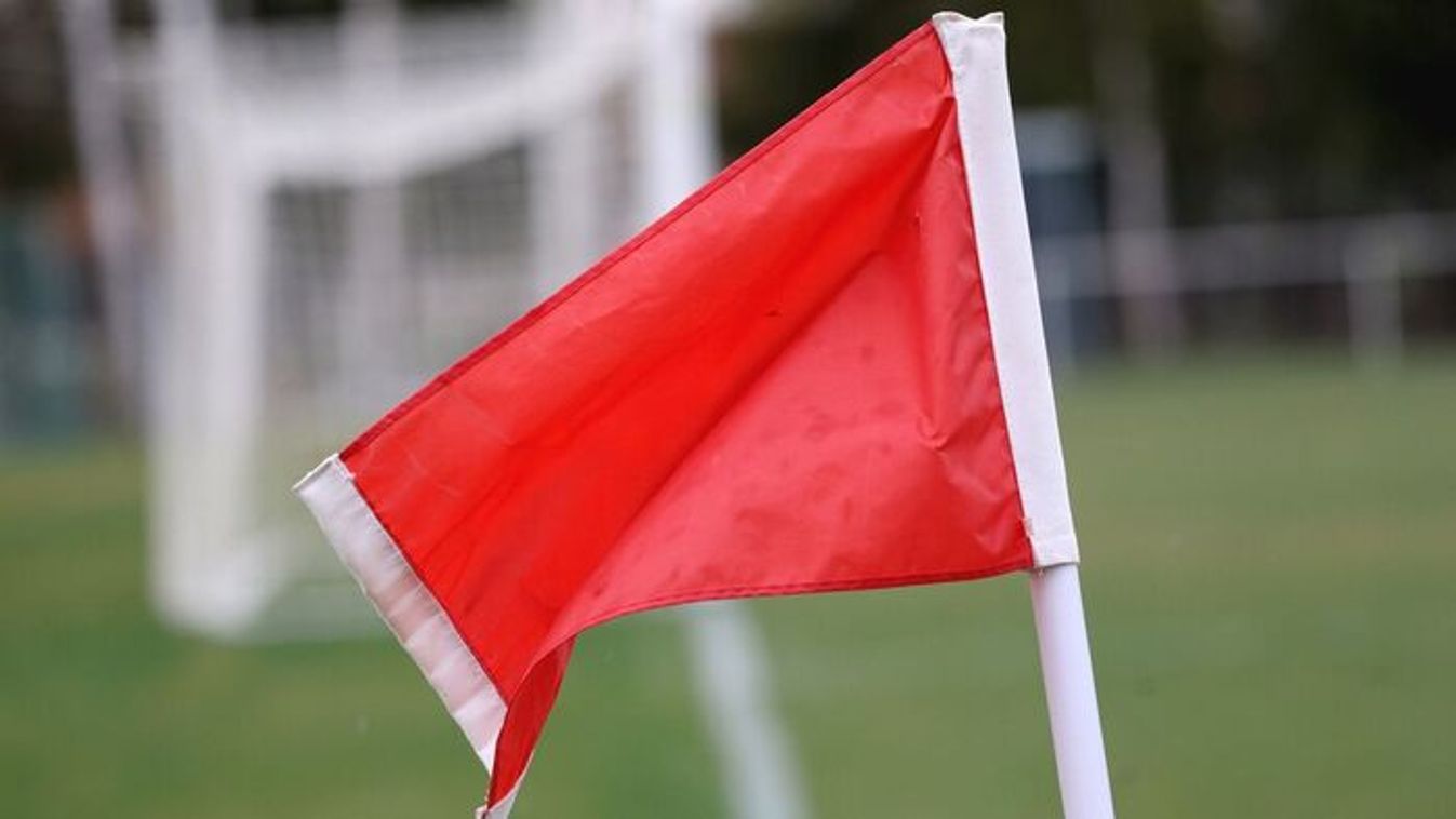 ,,Jobbulást a fog nélküli oroszlánnak"