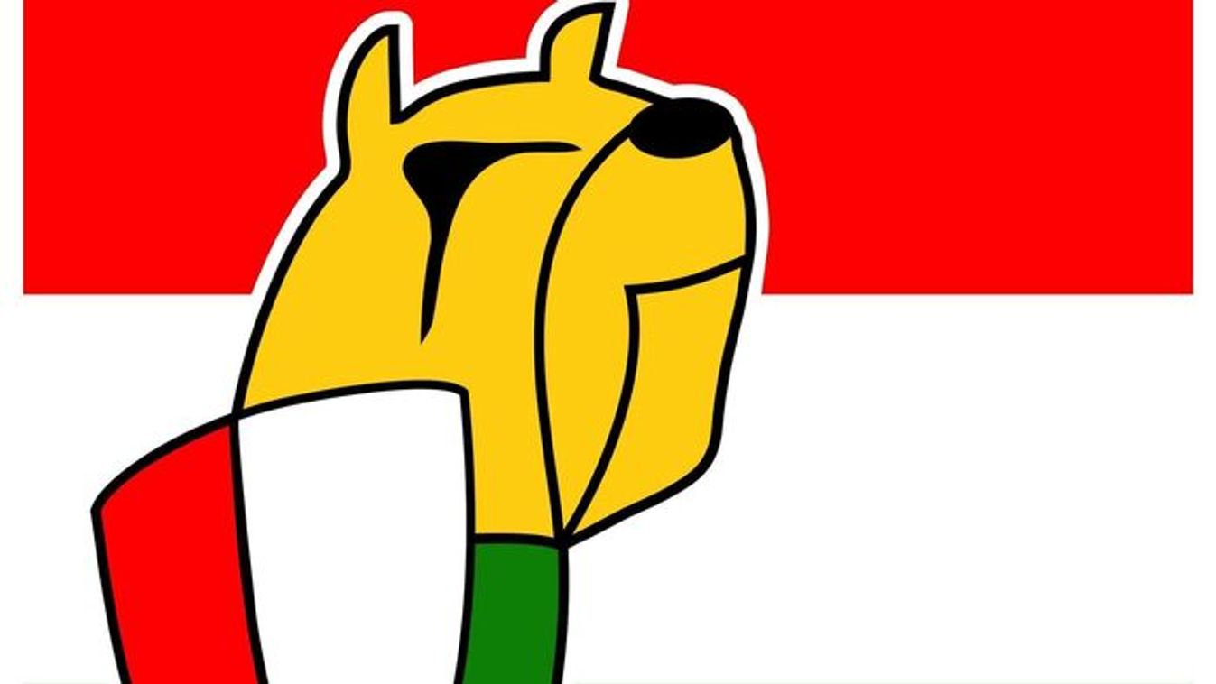 Elkezdődött a szájkarate: Keményen beleálltak a nyíregyháziak a diósgyőriekbe