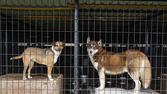 Több tízmilliós fejlesztés Ózdon: megújul az állategészségügyi telep