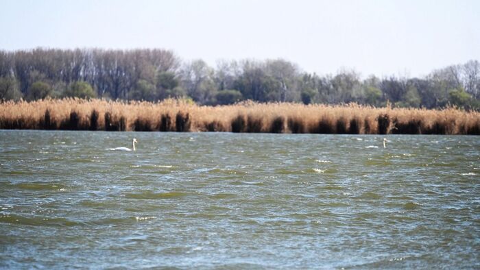Ötszörösét fizetheti, aki megszegi ezt a szabályt a vízparton