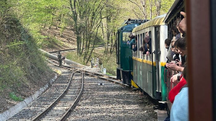 Kidőlt fa állította meg a lillafüredi kisvonatot - nagy szerencséjük volt az utasoknak