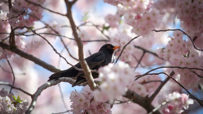 Megtréfálhatja a borsodiakat a csütörtöki időjárás