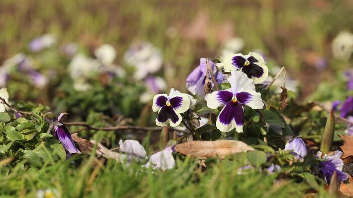 Kabát vagy napszemüveg? Meglepő fordulatot tartogat a vasárnapi időjárás Borsodban