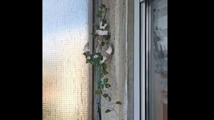 Szeles Húsvéthétfő: több térségre is figyelmeztetést adtak ki (videóval)