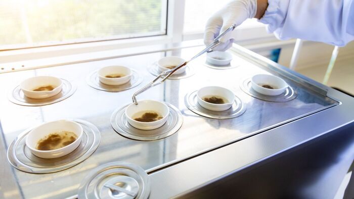 Górcső alatt a miskolci csatornák