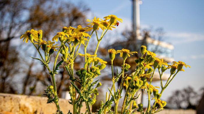 Felhők, csend és némi bizonytalanság – ezt tartogatja nagypéntek