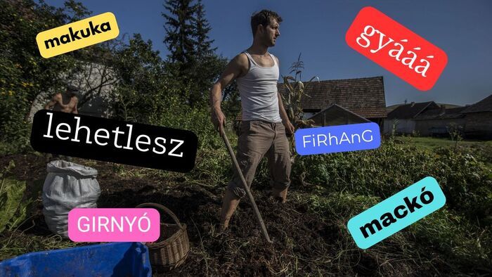 30+1 szó, amit csak a haladó borsodiak értenek – ezeken a kifejezéseken máshol fixen pislognak