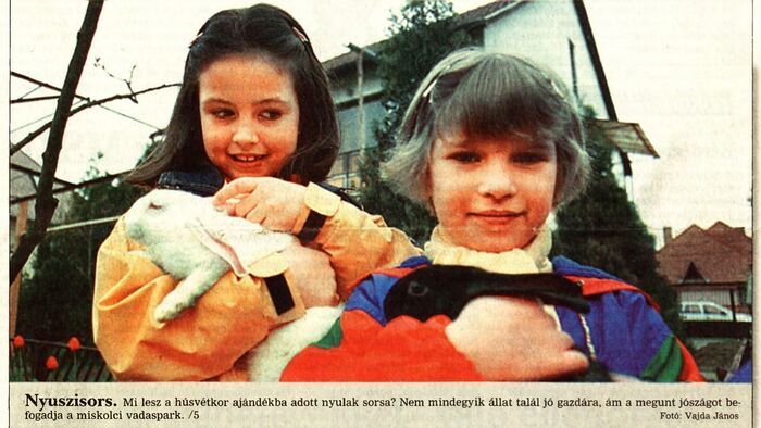 Tojás, kölni, nyuszi: így zajlott egy igazi húsvéti készülődés Borsodban - meglepő részletek