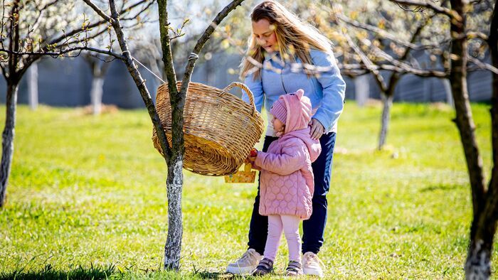 Vajon mit keresett Bing nyuszi egy újcsanálosi traktoron? Ilyen az, amikor a falusi húsvét túlszárnyalja a meséket - fotókkal, videóval