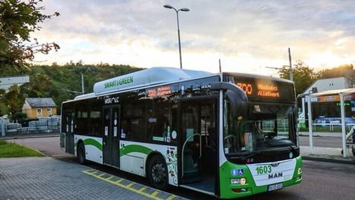 Ismét indulnak a ZOO járatok Miskolcon