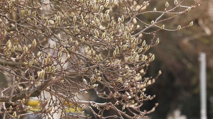 Változékony nap jön a vármegyében a hét közepén, erre számíthatnak Borsod lakosai