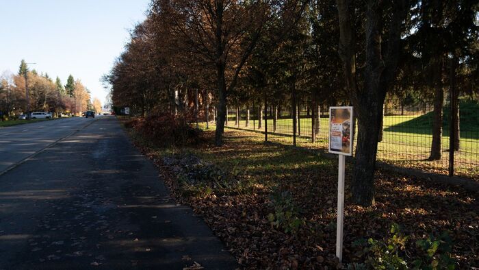 Szigorú állatvédelmi intézkedések léptek életbe, erre figyeljünk!