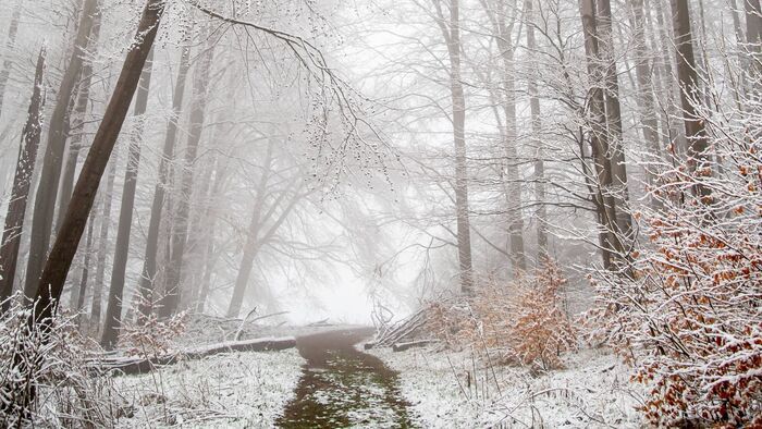 Hihetetlen, de mégis igaz - volt márciusi havazás Borsodban