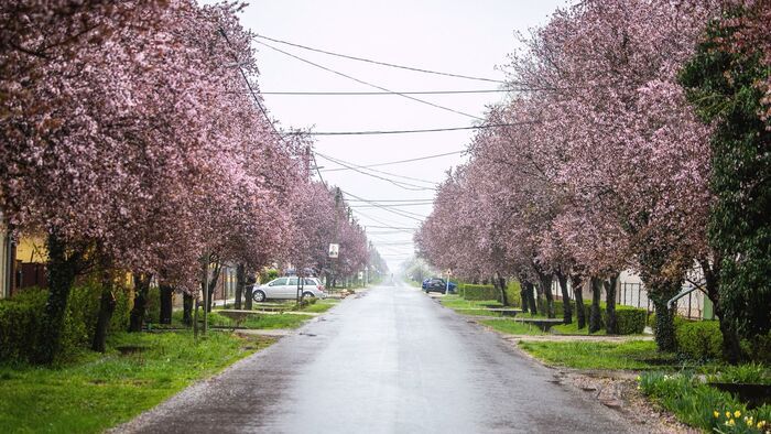 Húsvét hétfőn is tartogat meglepetést az időjárás Borsodban